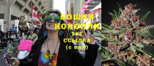 круглые Ельня