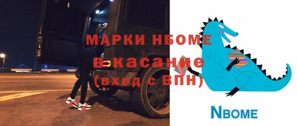 соль ск Елабуга