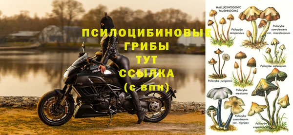 соль ск Елабуга
