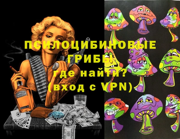 spice Елизово