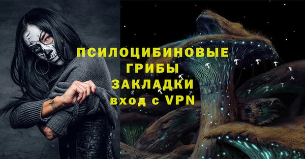соль ск Елабуга
