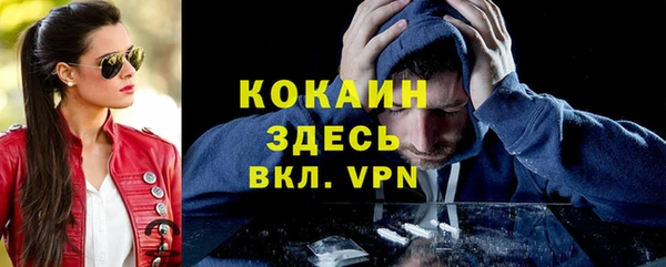 соль ск Елабуга