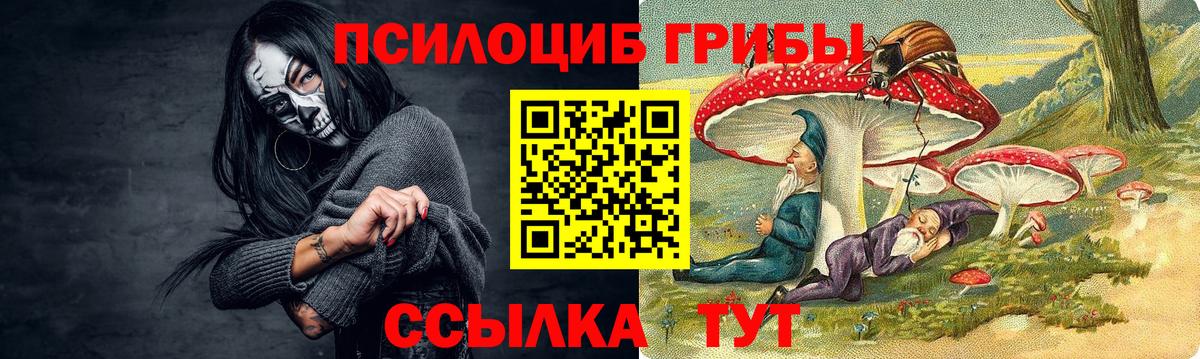 Усолье-Сибирское  Псилоцибиновые грибы ЛСД  Вход с VPN 